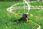 Karcher zraszacz obrotowy RS 130/3 2.645-019.0 - zdjęcie 2