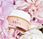 Serum do twarzy Miya Mypowerelixir Mini Naturalne Serum Rewitalizujące 15 ml - zdjęcie 2