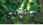 Gra PS3 Sonic the Hedgehog (Gra PS3) - zdjęcie 15