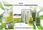 Krem do twarzy Krem melaleuca Tea Tree antybakteryjny z witaminą E na dzień i noc 30ml - zdjęcie 4