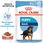 Karma dla psa Royal Canin Maxi Puppy Wet 140g - zdjęcie 2