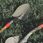 CAT szpadel szpiczasty J-Series D-Handle Round Point J10-202 - zdjęcie 2