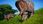 Jurassic World Evolution (Digital) - zdjęcie 7