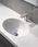 Bateria łazienkowa Grohe Bau Cosmopolitan E 36451000 - zdjęcie 2