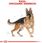 Karma dla psa Royal Canin German Shepherd Adult 11kg - zdjęcie 2