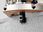 Frez do kupienia w Festool Frez z płytkami do wyrównywania HW 12 mm HW S12 D21/30WM 491120 - zdjęcie 2