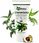 Preparat medycyny naturalnej Ekamedica Żel Żyworódka + Aloes 200ml - zdjęcie 3