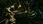 Gra na Xbox One Dark Souls Trilogy (Gra Xbox One) - zdjęcie 5