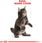 Karma dla kota Royal Canin Maine Coon Kitten 10kg - zdjęcie 9