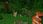 Minecraft Windows 10 Edition (Digital) - zdjęcie 8