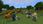 Minecraft Windows 10 Edition (Digital) - zdjęcie 9