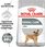 Karma dla psa Royal Canin Mini Dental Care 8kg - zdjęcie 3