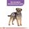 Karma dla psa Royal Canin Mini Sterilised 3kg - zdjęcie 5