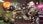 Gra na Xbox One Borderlands 3 (Gra Xbox One) - zdjęcie 3