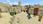 Minecraft Windows 10 Starter Collection (Digital) - zdjęcie 10