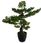 Atmosphera Sztuczny Bonsai W Doniczce Wysokość 80cm - zdjęcie 2