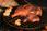 Grill węglowy Big Green Egg Small 117601 - zdjęcie 3
