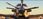 Microsoft Flight Simulator (Xbox One Key) - zdjęcie 3