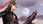 Gra PS4 Bayonetta & Vanquish 10th Anniversary Bundle (Gra PS4) - zdjęcie 3