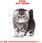 Karma dla kota Royal Canin Persian Kitten 4kg - zdjęcie 3