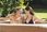 Jacuzzi Intex Sahara Tan Round 71 - zdjęcie 2
