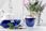Herbata Klitoria Ternateńska Butterfly Pea Tea 25G Herbata - zdjęcie 2