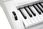 Kurzweil KA90 White - zdjęcie 11
