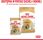 Karma dla psa Royal Canin Shih Tzu Adult w pasztecie 12x85g - zdjęcie 7
