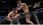 Gra PS4 UFC 4 (Gra PS4) - zdjęcie 8