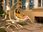 AMAZONAS Drewniany fotel hamakowy ecru Swing Chair - zdjęcie 5
