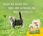 Karma dla kota Josera Kitten Grainfree 2Kg - zdjęcie 3