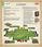 Tactic Land of Clans - zdjęcie 8