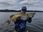 RAPALA ORIGINAL FLOATING 7CM. PŁYWAJĄCY F07 B. - zdjęcie 5