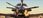 Microsoft Flight Simulator Premium Deluxe Edition (Digital) - zdjęcie 5