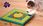 Nina Ottosson Multipuzzle Gra Edukacyjna [69663] - zdjęcie 2