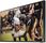 Telewizor Telewizor QLED Samsung QE55LST7T 55 cali 4K UHD - zdjęcie 5