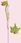 Serum do twarzy Caudalie Resveratrol Lift Serum Liftingująco Ujędrniające 30 ml - zdjęcie 3