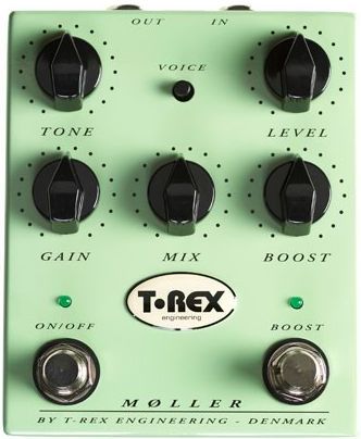 i-t-rex-moller.jpg