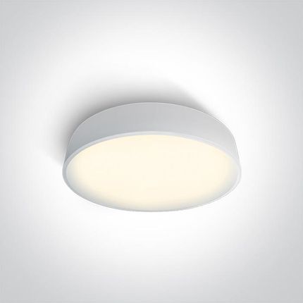 One Light Arillas 2 biały LED 3000K 25W (62125DWW)