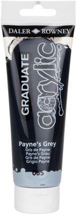Daler-Rowney Farba Akrylowa Graduate Acrylic 120Ml Payne'S Grey