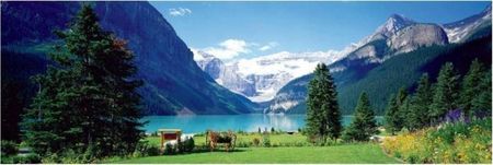 Eurographics Puzzle 1000El. Kanada Góry Rockies Widok Na Jezioro
