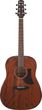 Ibanez AAD140 Natural