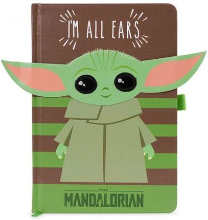 Pyramid Posters Star Wars The Mandalorian I'm All Ears Green - notes A5