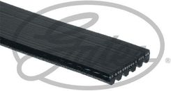 Zdjęcie Pasek klinowy wielorowkowy 6PK1249SF GATES - Dębica