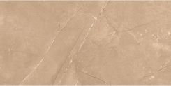 Zdjęcie Netto Venezia Dark Beige 30X60 - Przeworsk