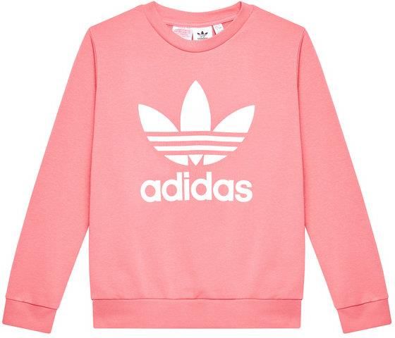 Adidas Bluza Tefoil Gn8253 Różowy Regular Fit - Ceny i opinie - Ceneo.pl