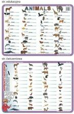 Zdjęcie Visual System Podkładka Edu. 04 Animals Język Angielski - Kościerzyna