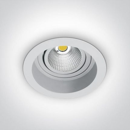 Onelight LED Dion regulowane białe 11118TR W C (11118TRWC)