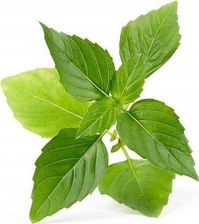 Zdjęcie Veritable Wkład nasienny Lingot zioła nietypowe bazylia tajska - Miłosław