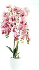 Zdjęcie Dixie Store Sztuczny Storczyk Orchidea Kwiat Gęsty Bróżowy 70Cm - Sanok